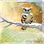 BBOw018 Snowy Owl