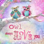 BBOw039 Owl Always Love You