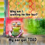 CSS099-Car Got Toad