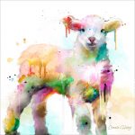 CS014 Lamb