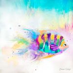 CSC007 Purple Fish