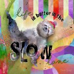 CSS101-Slow Lane Sloth
